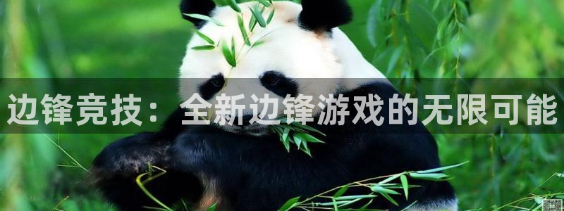 杏宇娱乐登录官网入口下载：边锋竞技：全新边锋游戏的无限可能