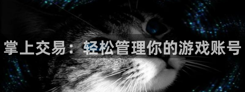 杏宇娱乐平台最新版下载安装手机：掌上交易：轻松管理你的游戏账