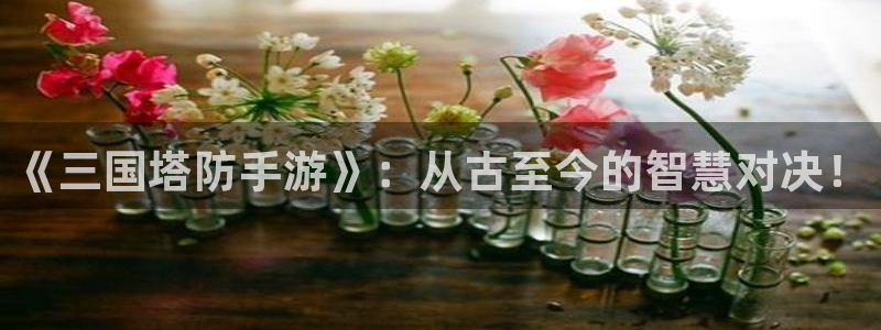 杏宇娱乐登录官网网址入口：《三国塔防手游》：从古至今的智慧对