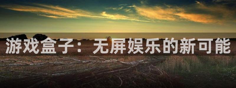 杏宇娱乐平台最新版下载苹果版：游戏盒子：无屏娱乐的新可能