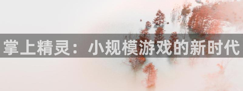 杏宇注册平台登录