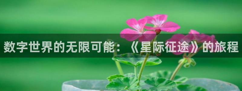 杏宇平台登录官网：数字世界的无限可能：《星际征途》的旅程