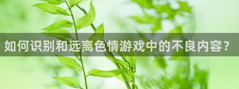杏宇平台登录官网