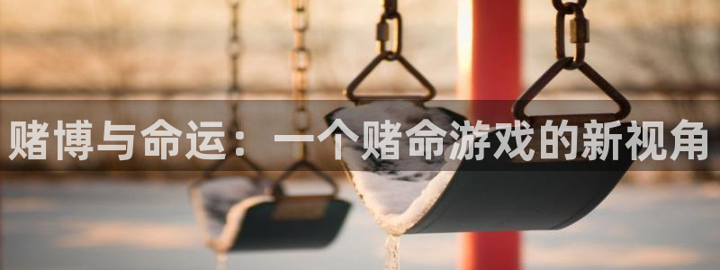 杏宇总代理：赌博与命运：一个赌命游戏的新视角