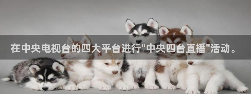 24直播吧 看球吧：在中央电视台的四大平台进行\