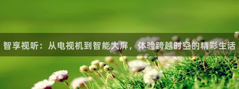 24直播免费足球直播：智享视听：从电视机到智能大屏，体验跨越时空的精彩生活