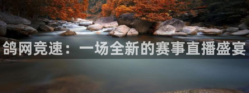 足球直播24直播：鸽网竞速：一场全新的赛事直播盛宴
