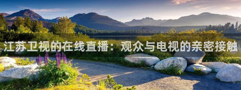 足球比赛直播24直播：江苏卫视的在线直播：观众与电视的亲密接触