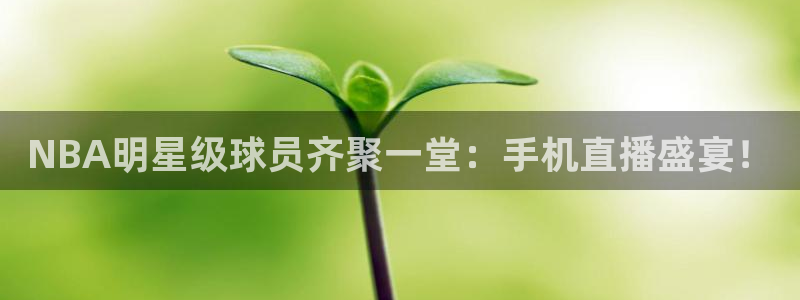 24直播网乒乓球直播：NBA明星级球员齐聚一堂：手机直播盛宴！