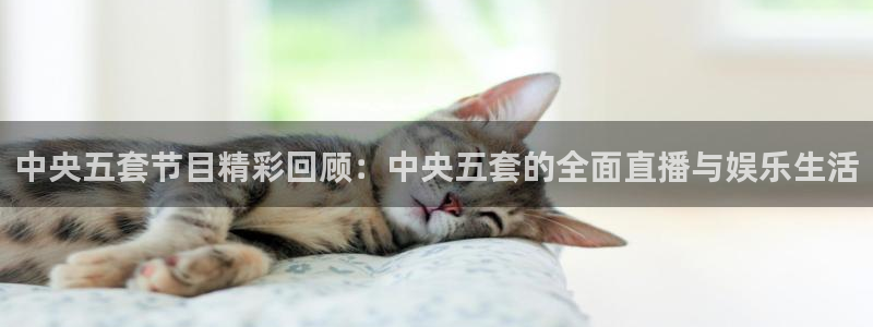 24直播网体育直播：中央五套节目精彩回顾：中央五套的全面直播与娱乐生活