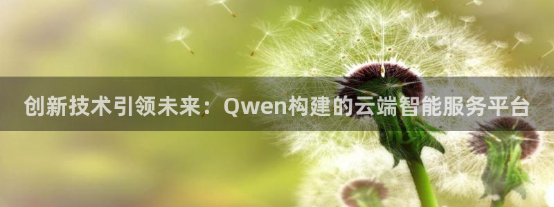24直播网nba在线直播：创新技术引领未来：Qwen构建的云端智能服务平台