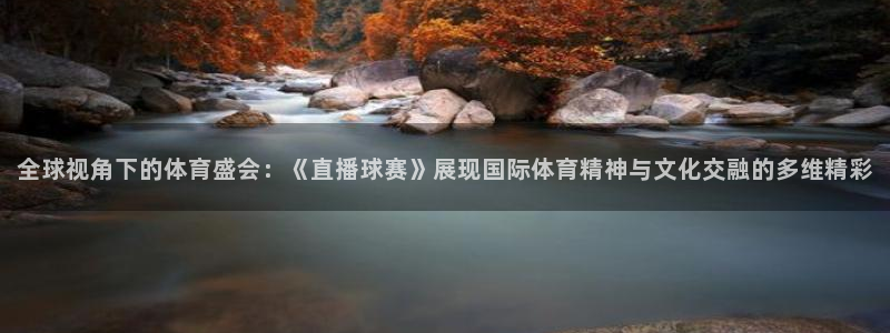 24直播免费足球直播高清：全球视角下的体育盛会：《直播球赛》展现国际体育精神与文化交融的多维精彩