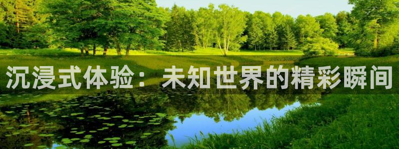 足球比赛直播24直播网：沉浸式体验：未知世界的精彩瞬间